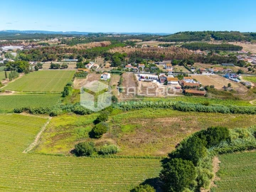Terreno Agricola ou Rústico para Venda em São João da Ribeira e Ribeira de São João