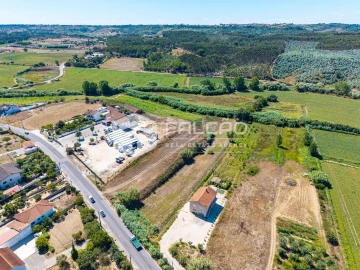 Terreno Agricola ou Rústico para Venda em São João da Ribeira e Ribeira de São João