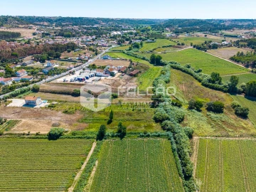 Terreno Agricola ou Rústico para Venda em São João da Ribeira e Ribeira de São João