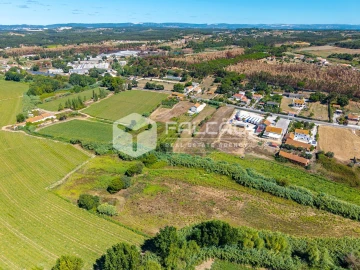 Terreno Agricola ou Rústico para Venda em São João da Ribeira e Ribeira de São João
