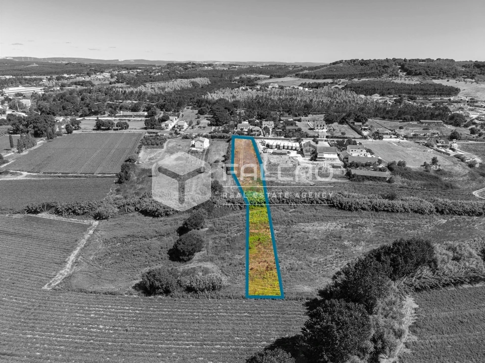 Terreno Agricola ou Rústico para Venda em São João da Ribeira e Ribeira de São João Foto 11