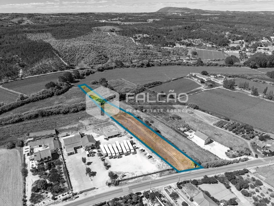 Terreno Agricola ou Rústico para Venda em São João da Ribeira e Ribeira de São João Foto 5