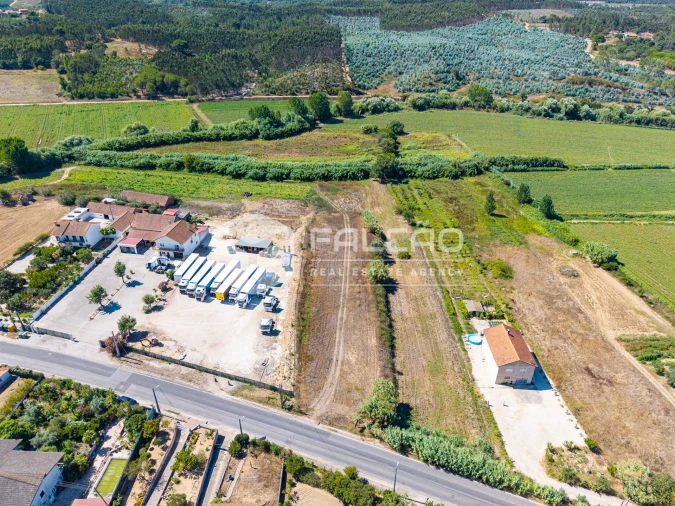 Terreno Agricola ou Rústico para Venda em São João da Ribeira e Ribeira de São João Foto 3
