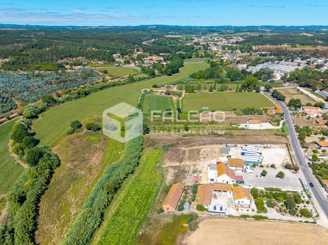 Terreno Agricola ou Rústico para Venda em São João da Ribeira e Ribeira de São João Foto 8
