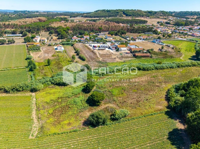 Terreno Agricola ou Rústico para Venda em São João da Ribeira e Ribeira de São João Foto 14