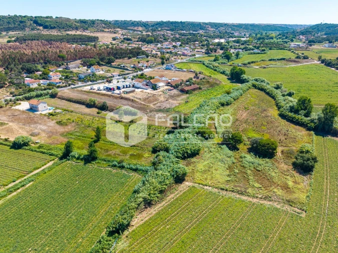 Terreno Agricola ou Rústico para Venda em São João da Ribeira e Ribeira de São João Foto 16