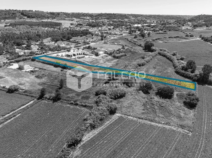 Terreno Agricola ou Rústico para Venda em São João da Ribeira e Ribeira de São João Foto 15