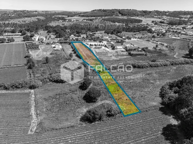 Terreno Agricola ou Rústico para Venda em São João da Ribeira e Ribeira de São João Foto 13