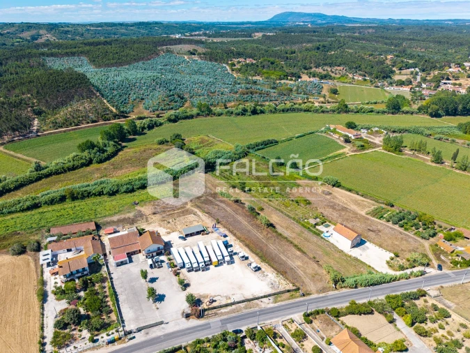Terreno Agricola ou Rústico para Venda em São João da Ribeira e Ribeira de São João Foto 6
