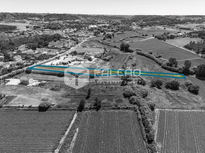 Terreno Agricola ou Rústico para Venda em São João da Ribeira e Ribeira de São João Foto 17