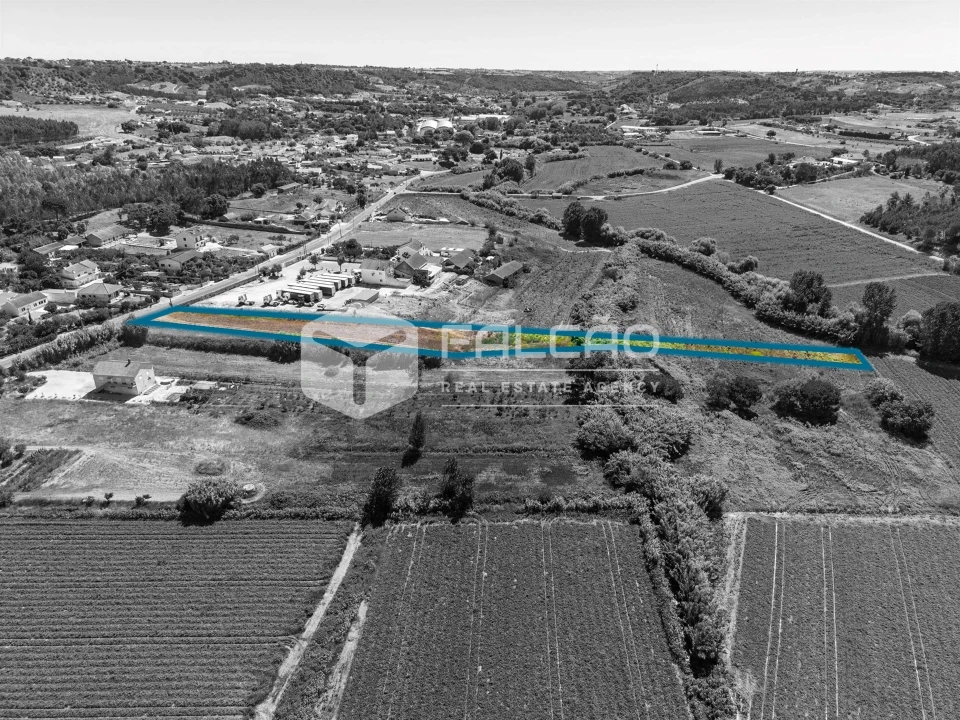 Terreno Agricola ou Rústico para Venda em São João da Ribeira e Ribeira de São João Foto 17