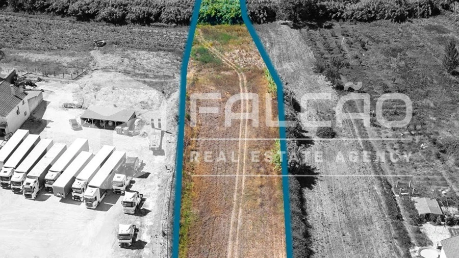 Terreno Agricola ou Rústico para Venda em São João da Ribeira e Ribeira de São João