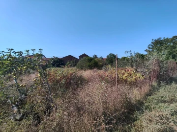 Moradia T3 para Venda em Colmeias e Memória