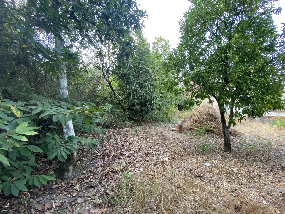Moradia T3 para Venda em Santiago e São Simão de Litém e Albergaria dos Doze Foto 10