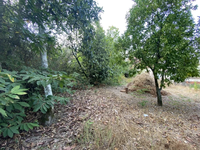 Moradia T3 para Venda em Santiago e São Simão de Litém e Albergaria dos Doze Foto 10