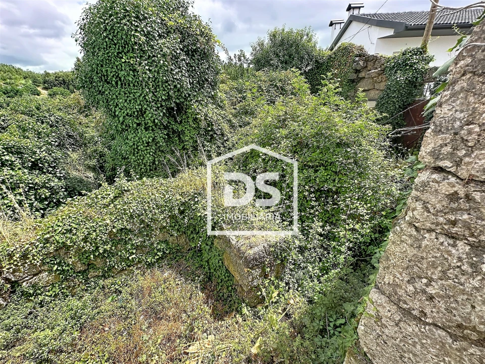 Terreno para Venda em São Pedro de France Foto 7