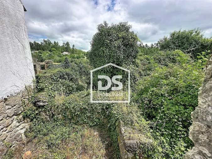 Terreno para Venda em São Pedro de France Foto 9