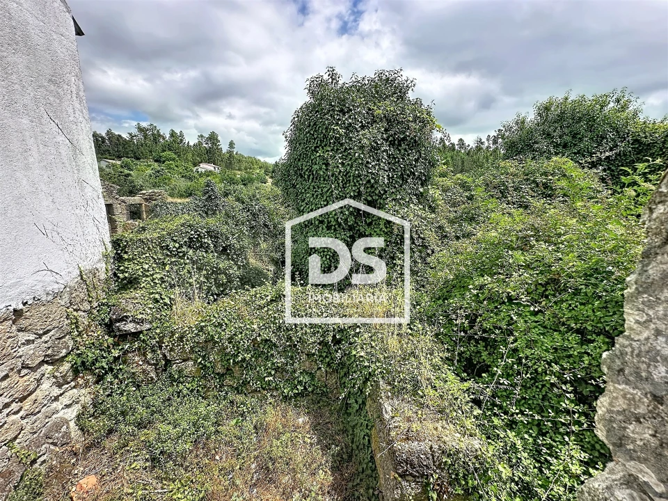 Terreno para Venda em São Pedro de France Foto 9