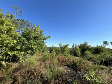 Terreno para Venda em Orgens