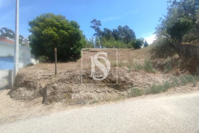 Terreno para Venda em São Miguel do Outeiro e Sabugosa