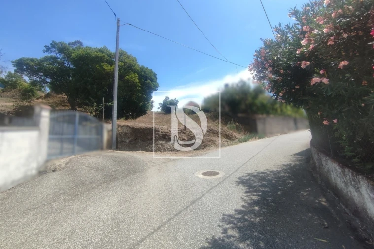 Terreno para Venda em São Miguel do Outeiro e Sabugosa Foto 5