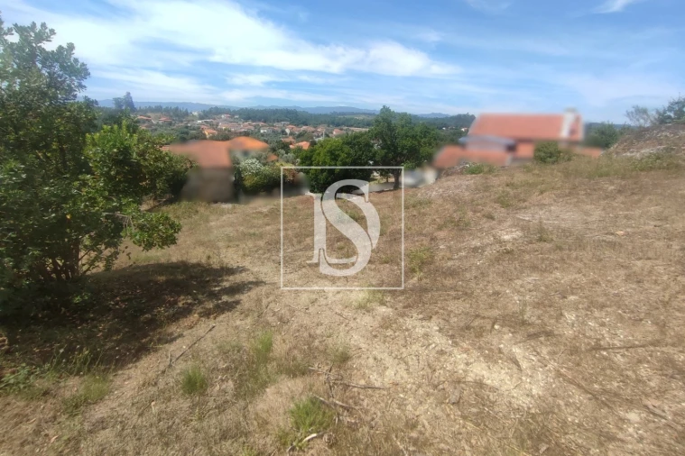 Terreno para Venda em São Miguel do Outeiro e Sabugosa Foto 7