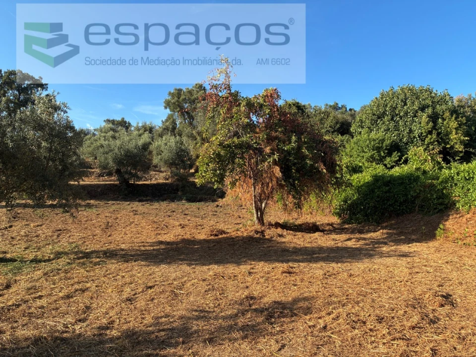 Terreno para Venda em Lavacolhos Foto 4