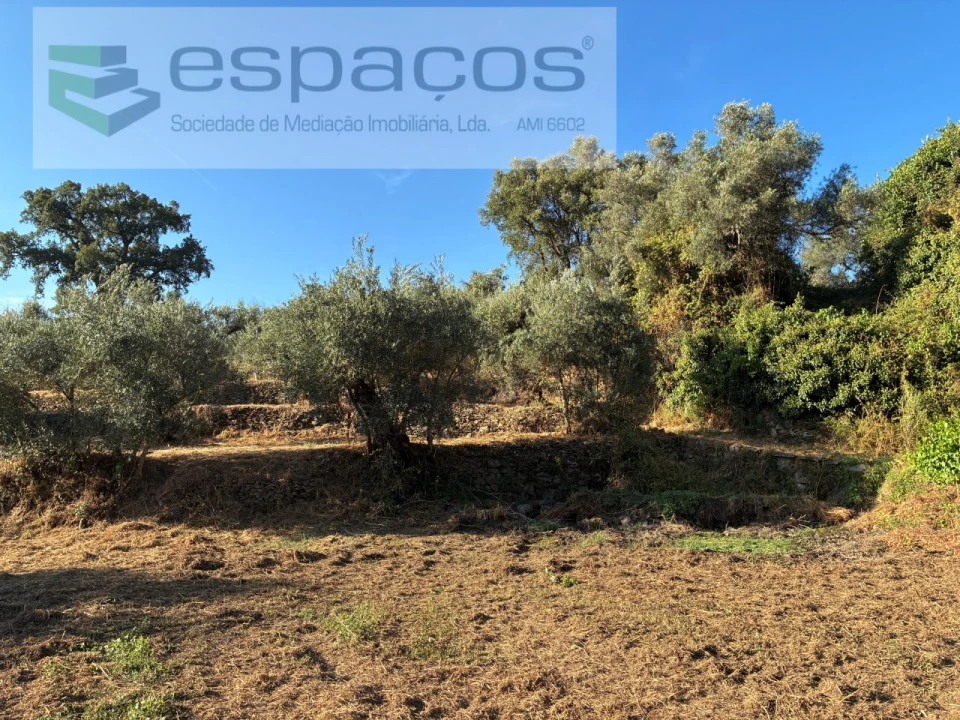 Terreno para Venda em Lavacolhos Foto 5