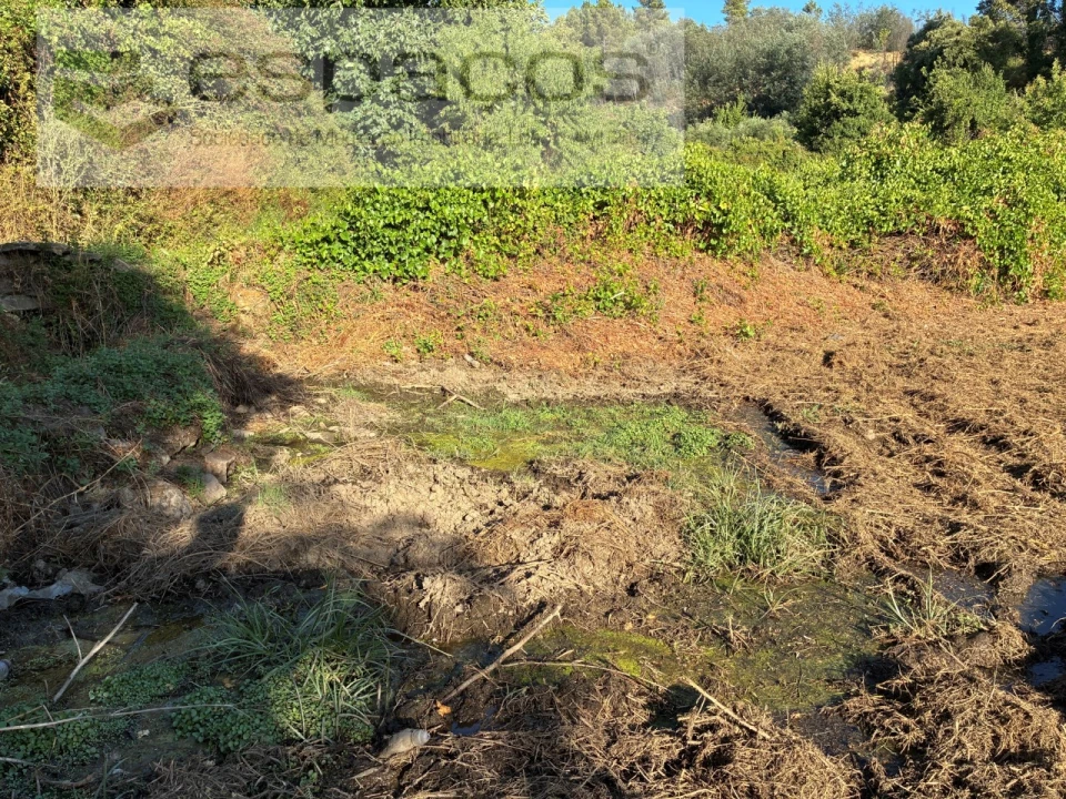 Terreno para Venda em Lavacolhos Foto 6