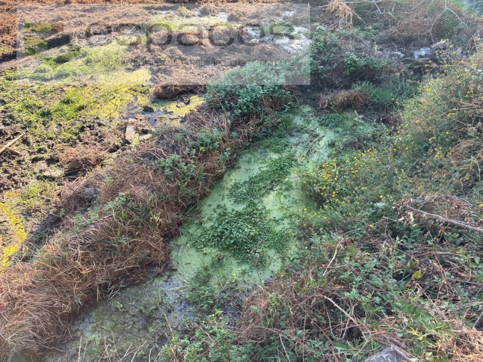Terreno para Venda em Lavacolhos Foto 7