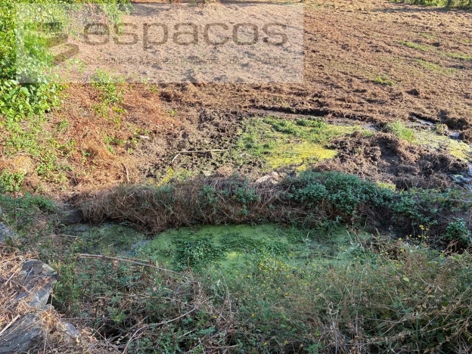 Terreno para Venda em Lavacolhos Foto 8
