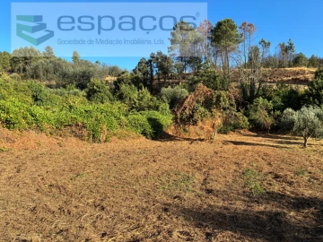 Terreno para Venda em Lavacolhos