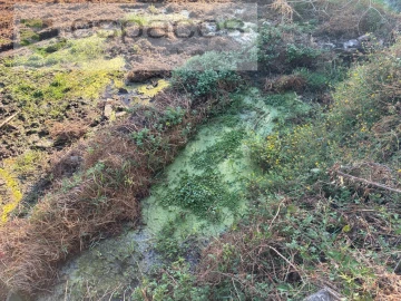 Terreno para Venda em Lavacolhos