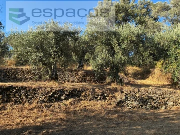 Terreno para Venda em Lavacolhos