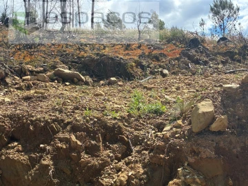 Terreno para Venda em Lavacolhos