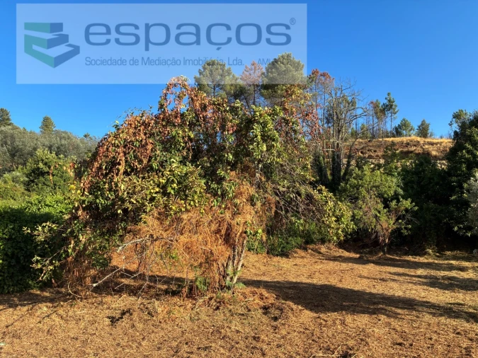 Terreno para Venda em Lavacolhos Foto 2