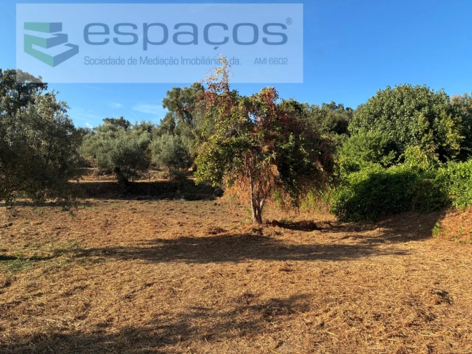 Terreno para Venda em Lavacolhos Foto 4