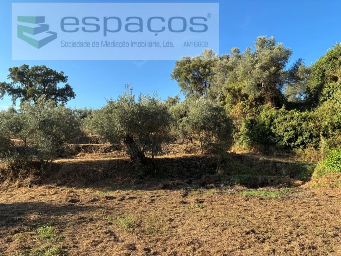 Terreno para Venda em Lavacolhos Foto 5