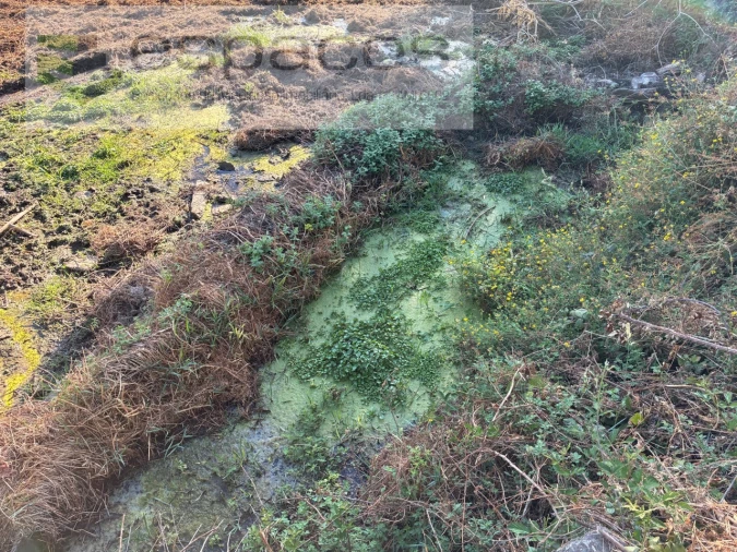Terreno para Venda em Lavacolhos Foto 7