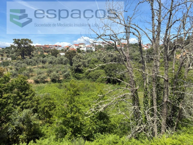 Terreno para Venda em Lavacolhos Foto 13