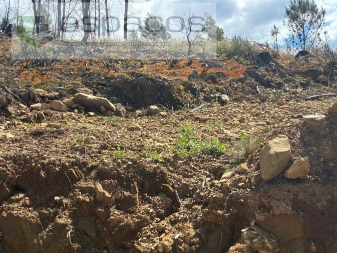 Terreno para Venda em Lavacolhos Foto 14