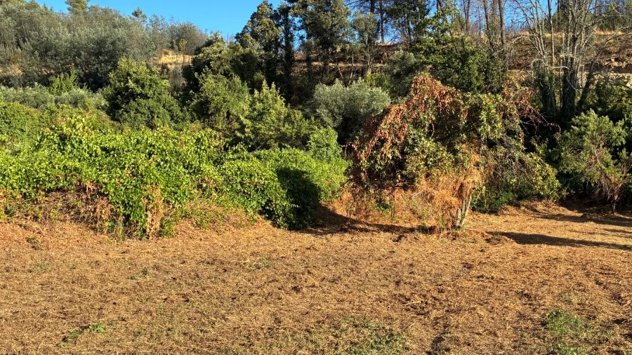 Terreno para Venda em Lavacolhos