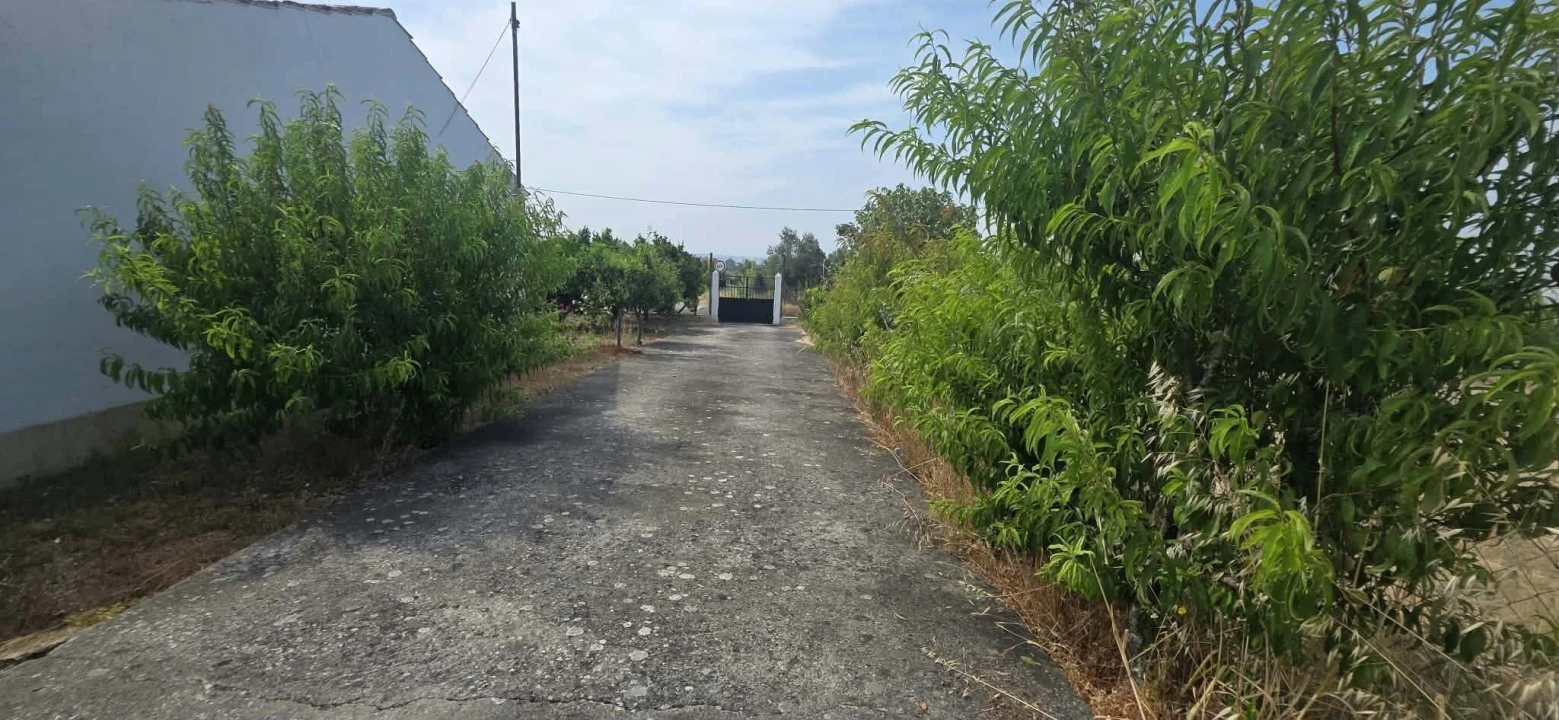 Moradia T3 para Venda em São João Baptista e Santa Maria dos Olivais Foto 8