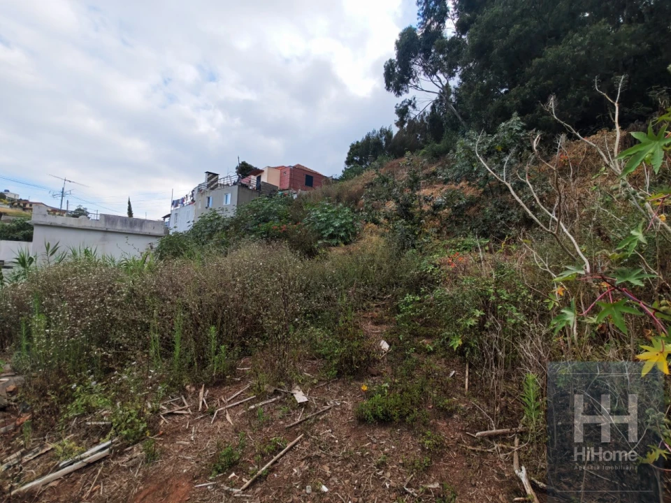 Terreno para Venda em Caniço Foto 7