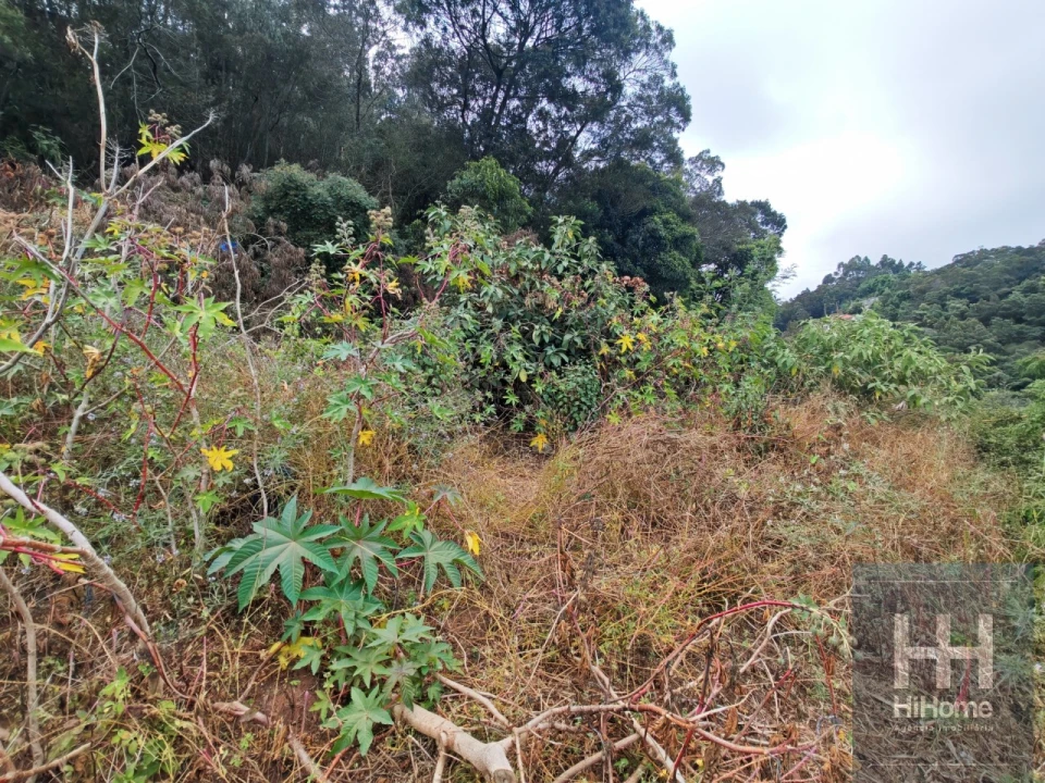 Terreno para Venda em Caniço Foto 11