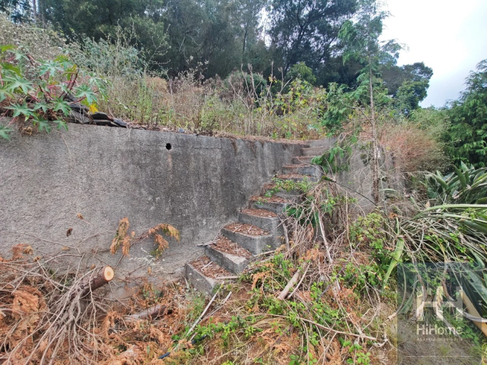 Terreno para Venda em Caniço Foto 16