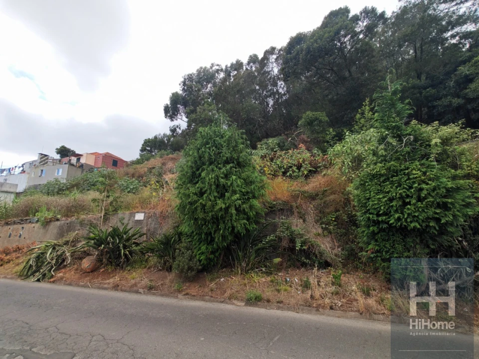 Terreno para Venda em Caniço Foto 17