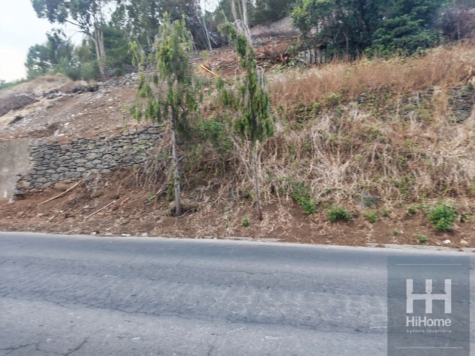 Terreno para Venda em Caniço Foto 25