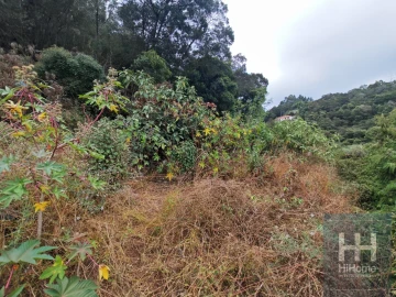Terreno para Venda em Caniço