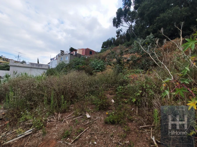 Terreno para Venda em Caniço Foto 7